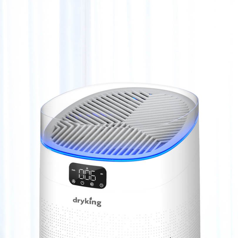 Dryking Airvio Air Purifier in Pakistan Best Price, Features Cooling Mate